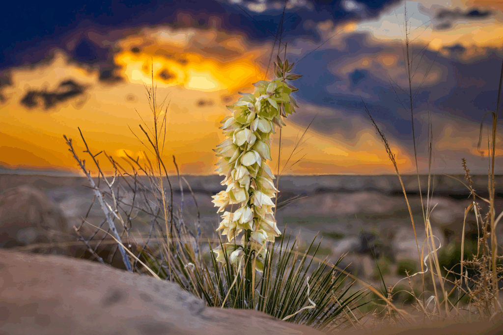 new mexico 2023